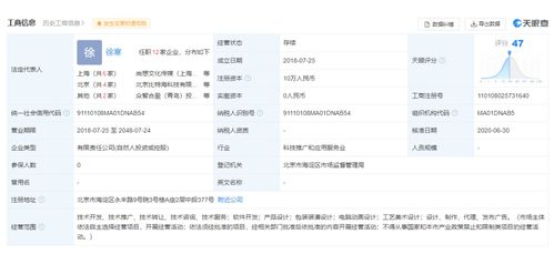 羅永浩官宣新創業公司Thin Red Line，目標AR行業教育咨詢