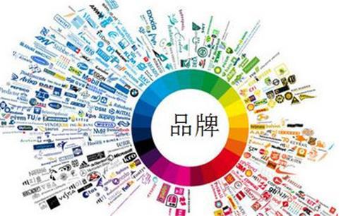 志卓科技 以定制化服務(wù)為引擎，驅(qū)動技術(shù)推廣與品牌價值共贏