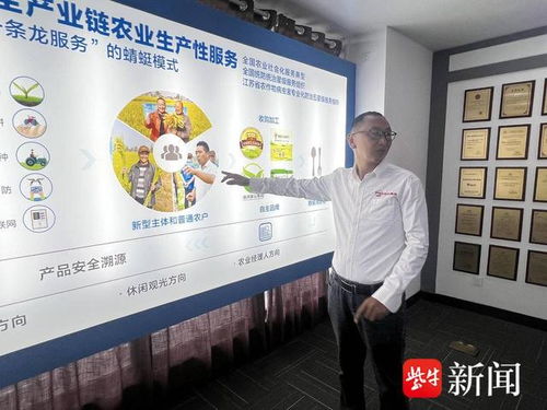 數(shù)智養(yǎng)豬場 AI管家全天候守護，教育咨詢開啟智能養(yǎng)殖新篇章