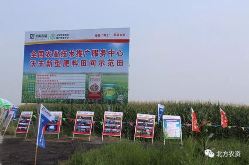 實踐檢驗真理，養(yǎng)土大業(yè)迎發(fā)展機遇；勇扛大旗，教育咨詢譜新篇