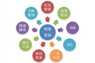 教育咨詢行業(yè)中的網(wǎng)絡(luò)營銷與網(wǎng)絡(luò)推廣 協(xié)同共進的雙翼