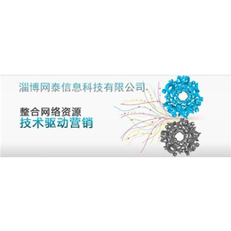 臨淄推廣新時(shí)代 網(wǎng)泰科技專業(yè)技術(shù)服務(wù)與代理合作新機(jī)遇