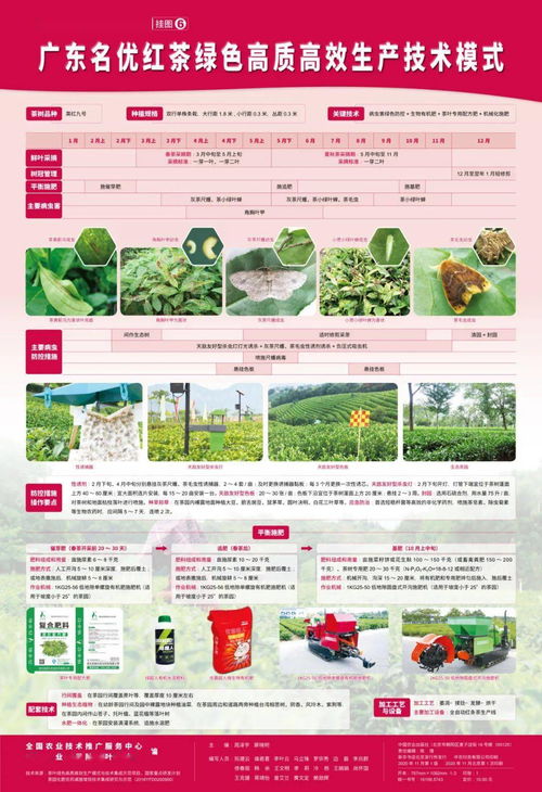 茶葉綠色高質(zhì)高效生產(chǎn)模式 圖文并茂，一學(xué)就會(huì)